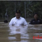 Saat Bupati Dharmasraya Sumbar Tembus Banjir Setinggi Dada