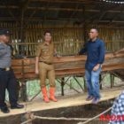 Di Kelurahan Saringan Kelompok Harapan Bersama Berternak Kambing