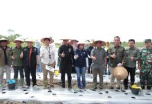 Gertam Cabai dan Bawang Diharapkan Bisa Penuhi Kebutuhan Pangan Masyarakat